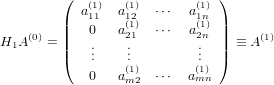          (  (1)  (1)       (1))
         | a11  a1(21)  ⋅⋅⋅  a1(n1)|
    (0)  ||   0  a21   ⋅⋅⋅  a2n ||     (1)
H1A    = |(   ...    ...        ...  |)  ≡ A
                 (1)       (1)
             0  am2   ⋅⋅⋅  amn
