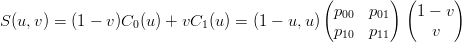                                             (        ) (      )
                                             p00  p01    1 − v
S(u,v ) = (1 − v)C0 (u) + vC1(u) = (1 − u,u ) p   p        v
                                               10   11
